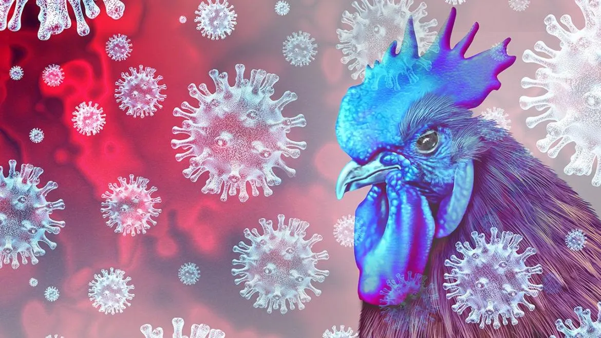 Bird flu detected in Michigan flock, federal authorities say – Fox Business