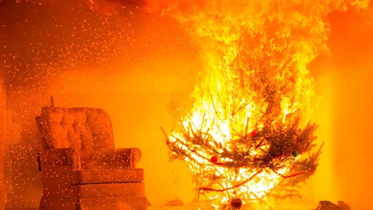 Buying a real Christmas tree? Here are fire safety tips