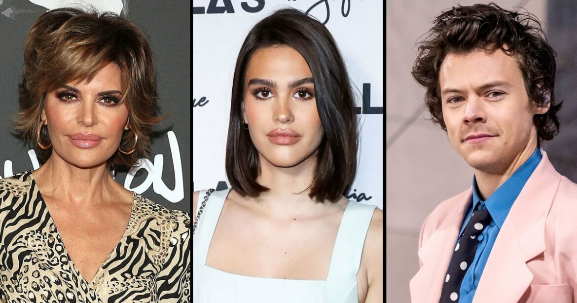 No Scott? Lisa Rinna Jokingly Wishes Daughter Amelia Was With Harry Styles