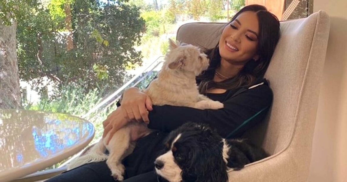Dog Mom! Pregnant Olivia Munn Shows Baby Bump While Cuddling With Pets