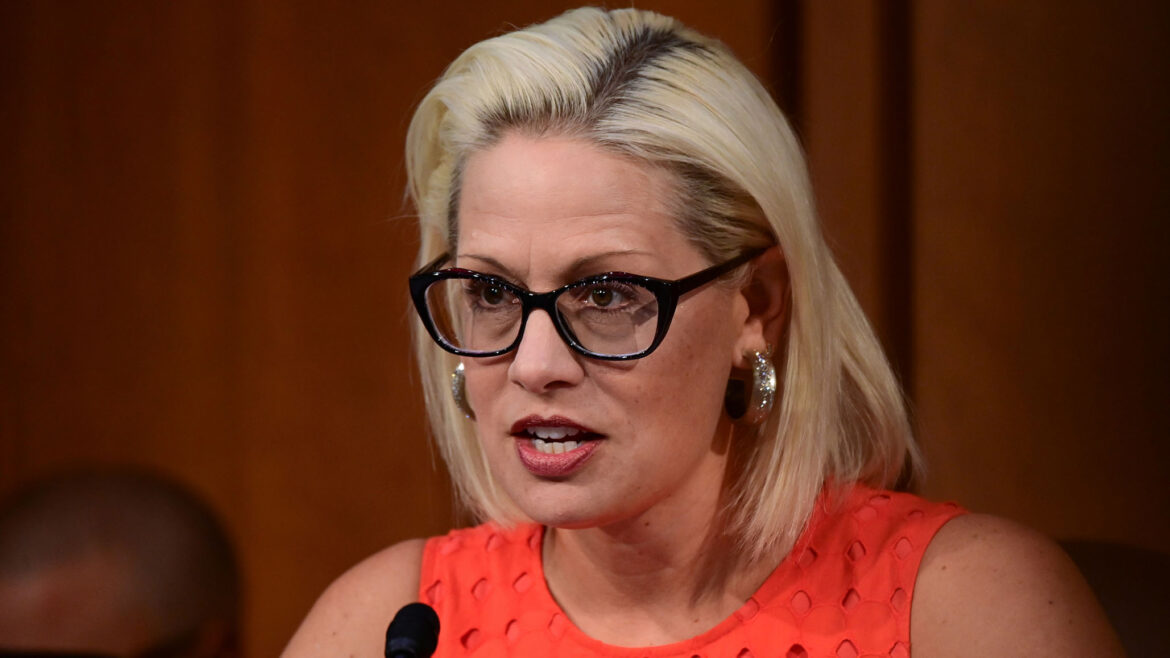 Activists Follow Sinema into Bathroom, Harass Her over Opposition to Reconciliation Package