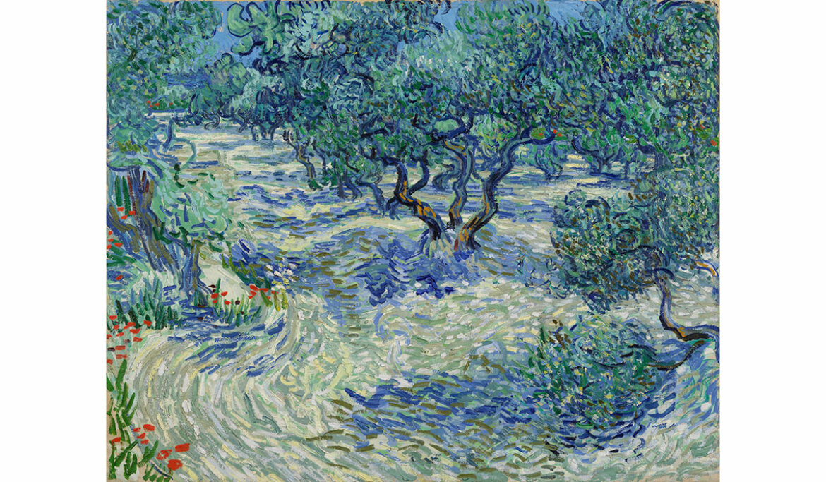 Van Gogh’s Olive-Grove Paintings in Dallas Are a Must-See