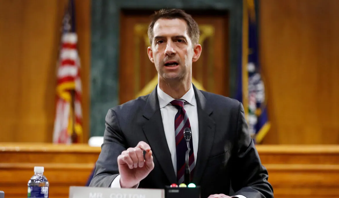 Cotton Demands Biden ‘Publicly Apologize’ for Calling Kyle Rittenhouse a White Supremacist